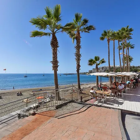 Canarios 527 By Villagrancanaria