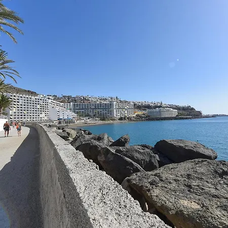 Canarios 527 By Villagrancanaria Arguineguin